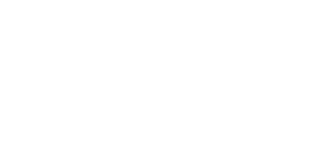 Logo_PST_weiß